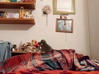 Sono una ragazza molto vogliosa, amo il sesso