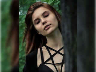cambitch TaylorObskura